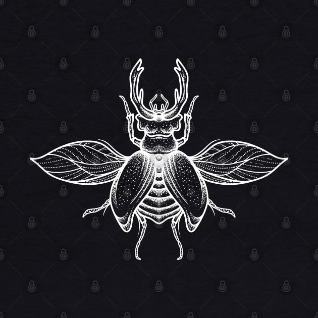 Insect lima by Tuye Project